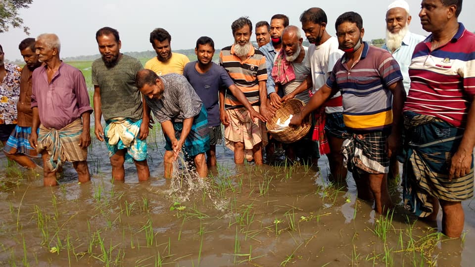 অভয়নগরে ইউএনও’র হস্তক্ষেপে চালু হলো বাগদাহ বিল মৎস্য প্রকল্প