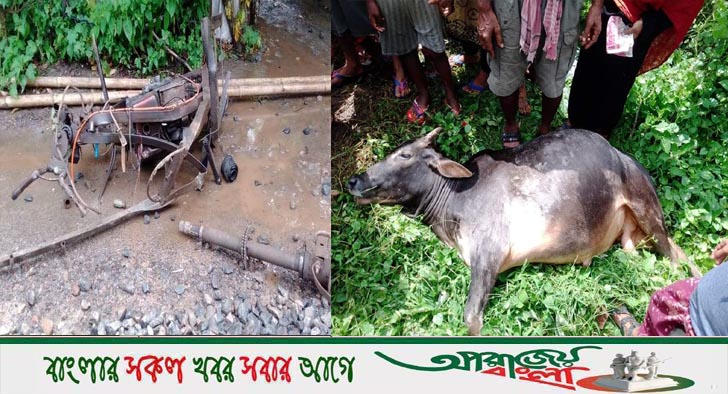 অভয়নগরে ট্রেনের ধাক্কায় নছিমনে থাকা দুইটি গরু ও দুইজন গরু ব্যবসায়ী নিহত