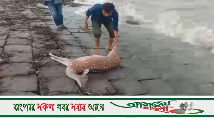 ইয়াস: বেড়িবাঁধ ভেঙে প্লাবিত বহু এলাকা, শিশুসহ ৬ জনের মৃত্যু