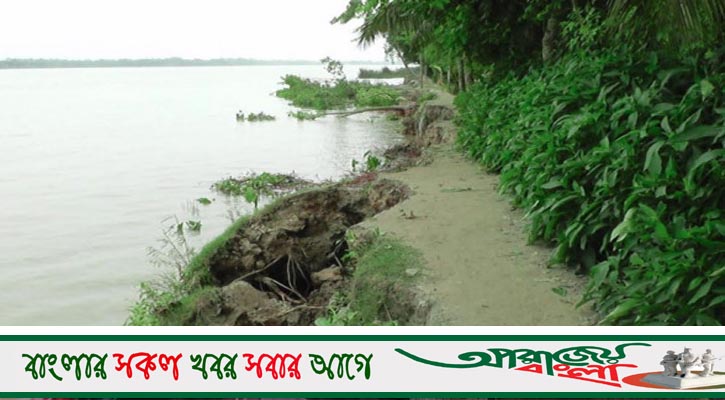 বেড়িবাঁধ ভেঙ্গে ভেসে গেল ৩ কোটি টাকার মাছ