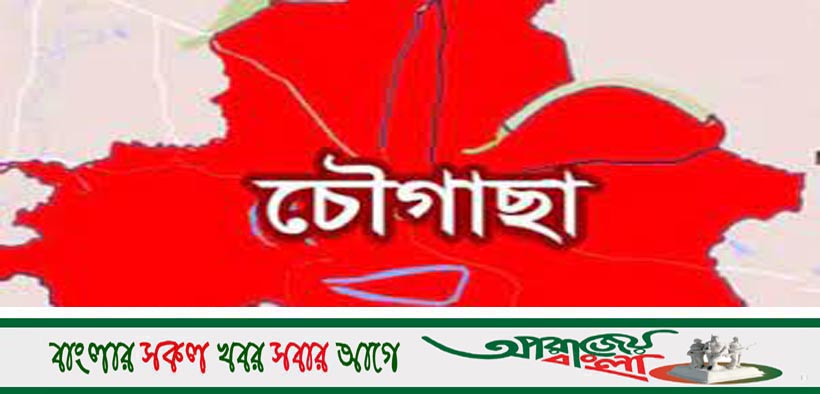 চৌগাছা উপজেলা বিএনপির আহবায়ক কমিটির কার্যক্রম স্থগিত