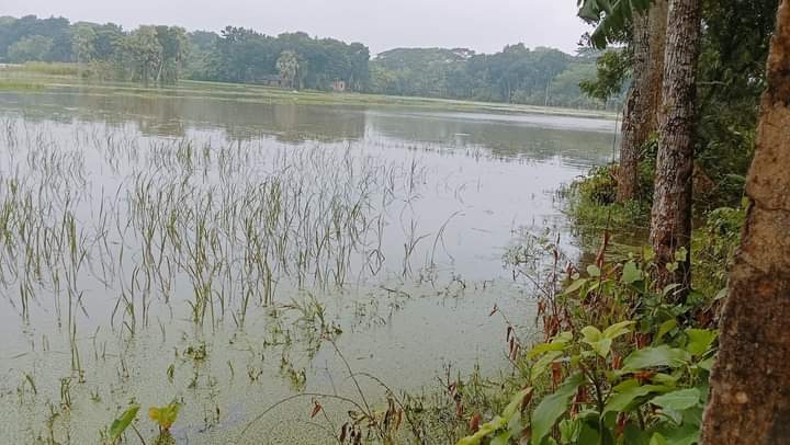 জলাবদ্ধতায় কেশবপুরে ৮ হাজার হেক্টর জমির সবজির ক্ষেত নষ্ট