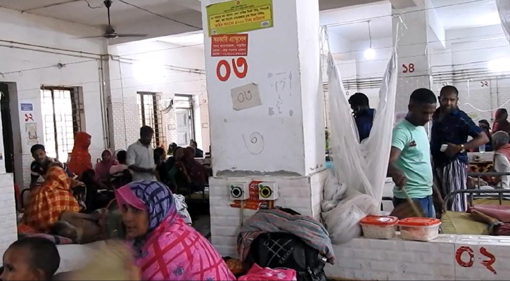 নড়াইলে ডেঙ্গু আক্রান্ত রোগী রোগীর সংখ্যা ৬০ জন