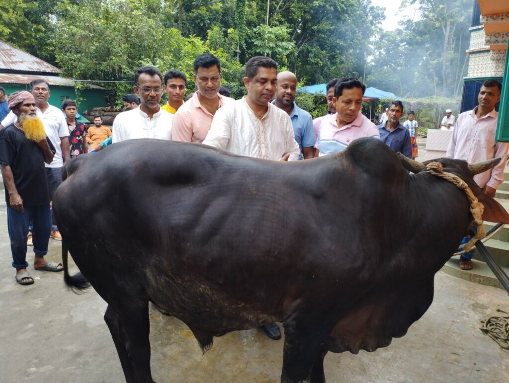 দীর্ঘ ১৫ বছর ধরে বঙ্গবন্ধু ও তার পরিবারের নামে কোরবানি দেন কেন্দ্রীয় যুবলীগের আন্তর্জাতিক বিষয়ক সম্পাদক কাজী সরোয়ার হোসেন