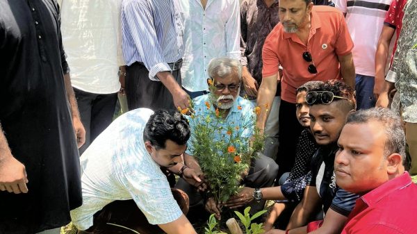 নড়াইলে বিশ্ব পরিবেশ দিবসে জেলা ছাত্রলীগের আয়োজনে ভিক্টোরিয়া কলেজ চত্বরে বৃক্ষরোপন কর্মসূচি