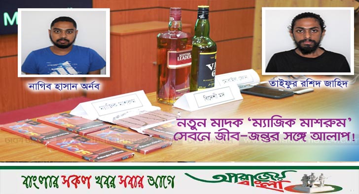 নতুন মাদক ‘ম্যাজিক মাশরুম’, সেবনে জীব-জন্তুর সঙ্গে আলাপ!