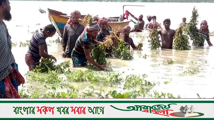 বানের পানিতে ভাসছে বাদামচাষিদের স্বপ্ন