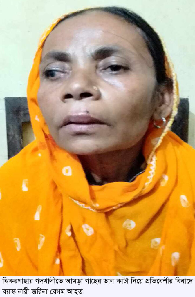 ঝিকরগাছার গদখালীতে আমড়া গাছের ডাল কাটা নিয়ে প্রতিবেশীর বিবাদে এক বয়স্ক নারী আহত