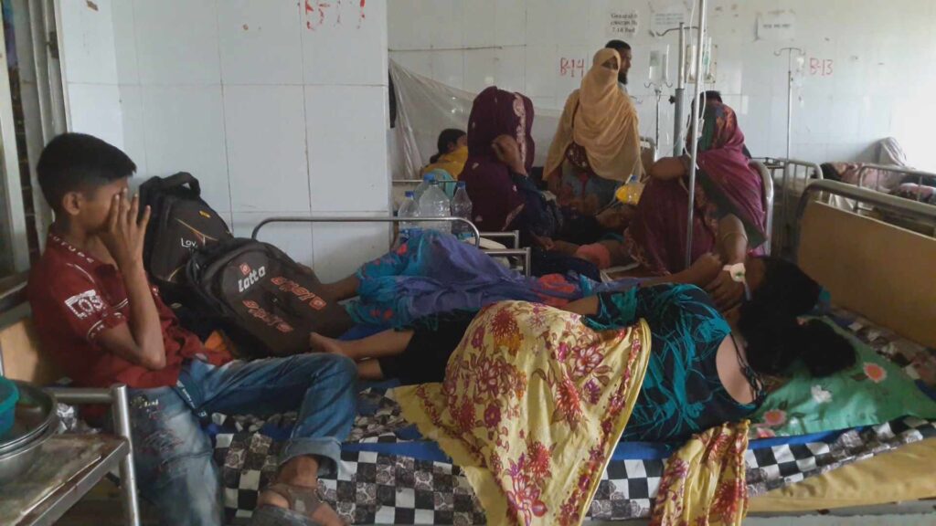 নড়াইলে ডেঙ্গুতে আক্রান্ত হয়ে এক নারীর মৃত্যু