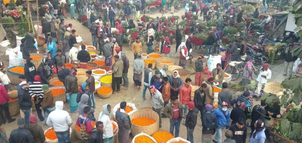 যশোরে ফেব্রুয়ারিতে ৭০ কোটি টাকার ফুল বিক্রির টার্গেট