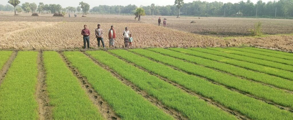 নড়াইলে ন্যায্য দামে সার পাচ্ছে না কৃষক