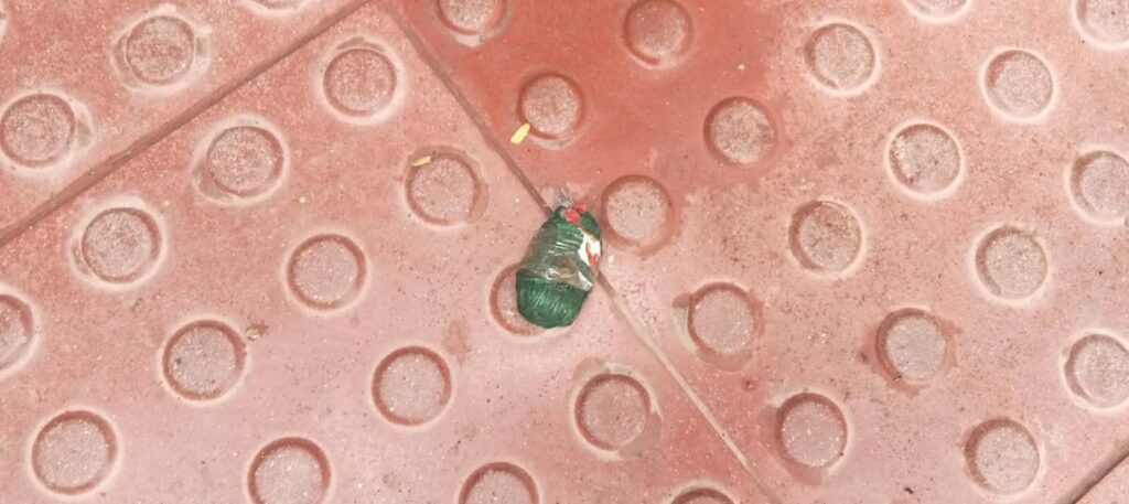 যশোর বাঘারপাড়া অশান্ত—ইঞ্জিনিয়ার টিএস আইয়ুবের বাসায় বোমা হামলা